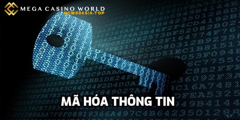 MCW88 lừa đảo - Thực hư tin đồn đến cộng đồng các bet thủ 3 Mã hoá thông tin tham gia giải trí